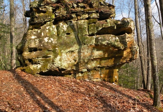 Bughead Rock - Koomer Ridge Trail